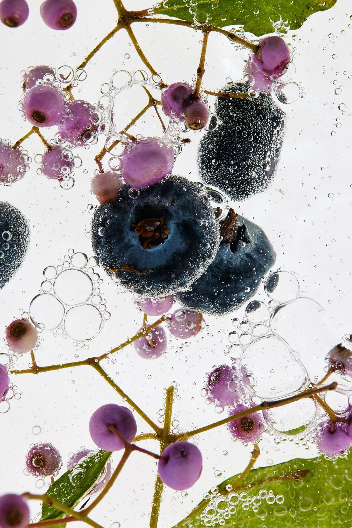 Fruitful Skin Softening Daily Massage Oil