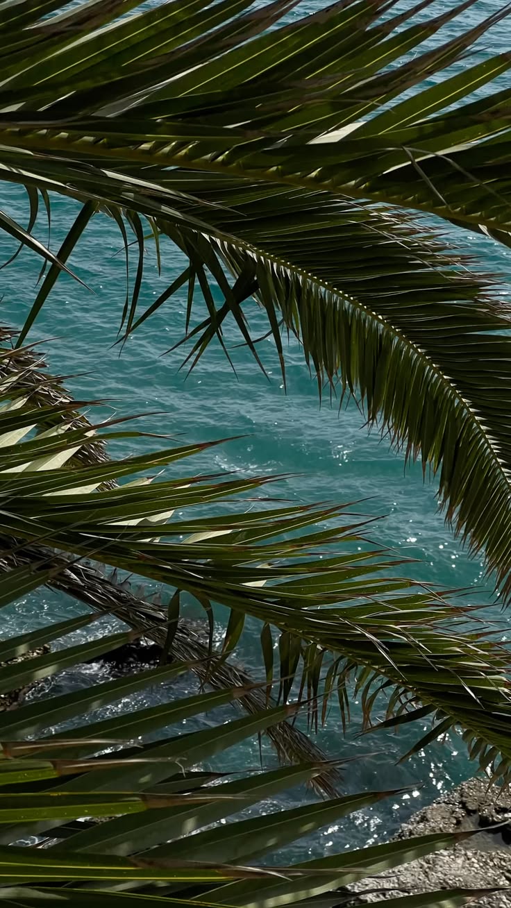 Tidal