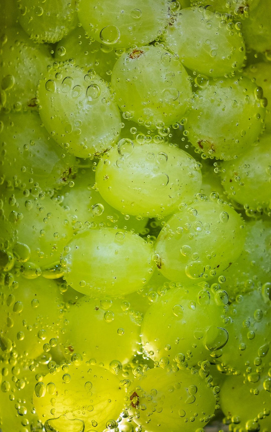 Grapeseed Oil